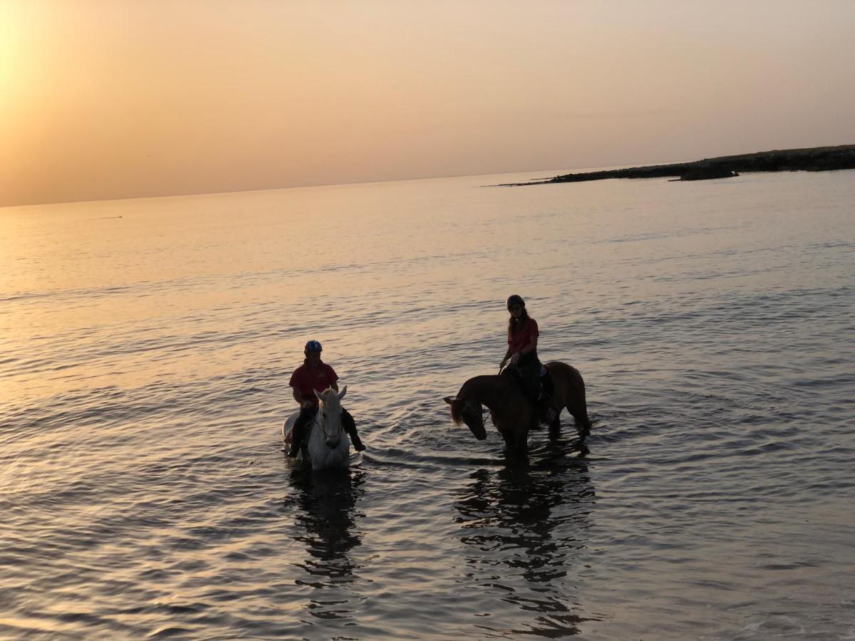 Cala Dell'Arena Bed & Breakfast Macari Dış mekan fotoğraf